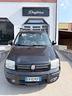 fiat-panda-1-2-dynamic-gpl