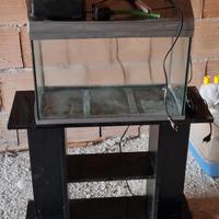 Acquario 