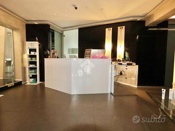 ATTIVITÀ A REGGIO NELL'EMILIA