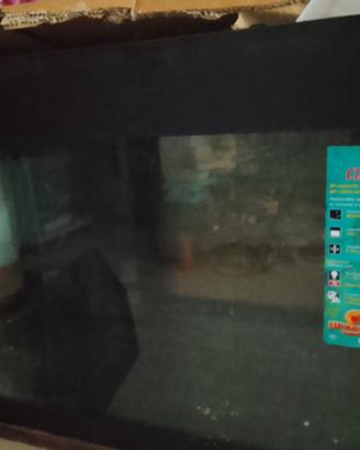acquario wave