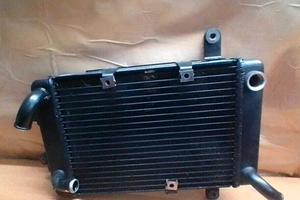 Radiatore Suzuki burgman