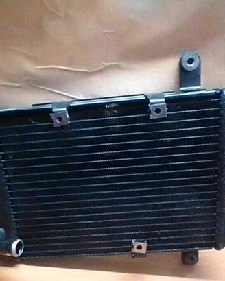 Radiatore Suzuki burgman