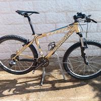 Bianchi absalon 26"