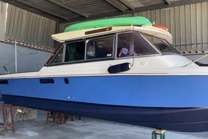 Chris Craft 25 Sedan- SOLO SCAFO