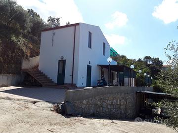 Terreno e fabbricati agrumeti oliveto