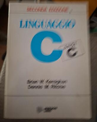libro universitario  Linguaccio C seconda ed.