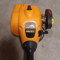 decespugliatore/tagliabordi