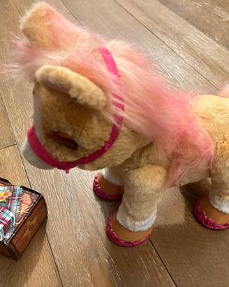 CINNAMON IL PONY STILOSO