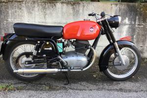 Gilera B 300 Extra - 1968