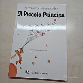 il piccolo principe 