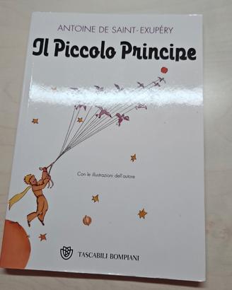 il piccolo principe 