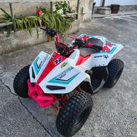 Mini quad 110cc