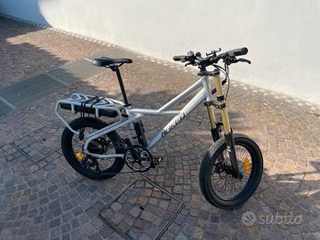 bici elettrica