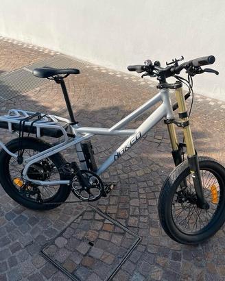 bici elettrica