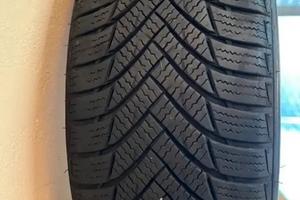 Gomme invernali