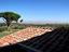 Immagine 12