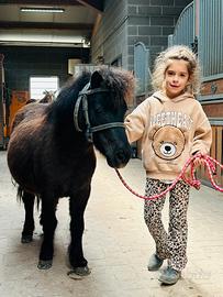 Mini pony femmina
