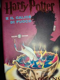 Harry Potter e il calice di fuoco 
