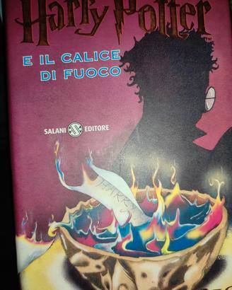 Harry Potter e il calice di fuoco 