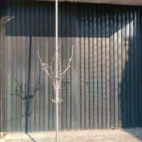 APPENDIABITI A PIANTANA