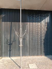 APPENDIABITI A PIANTANA