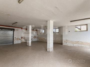 Cantina Acerra [MLV31VCG]