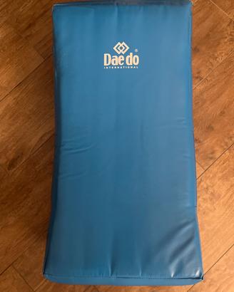 Sacco Daedo Taekwondo