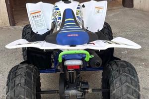 quad 125