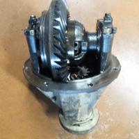 differenziale posteriore e semiassi Suzuki vitara