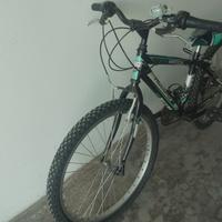 bici MTB 24