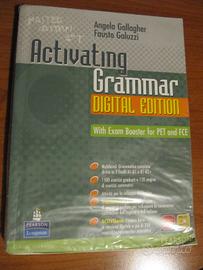 9788883390685 activating grammar