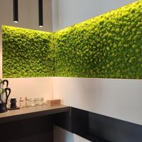 Pereti e quadri in muschio e lichene stabilizzato