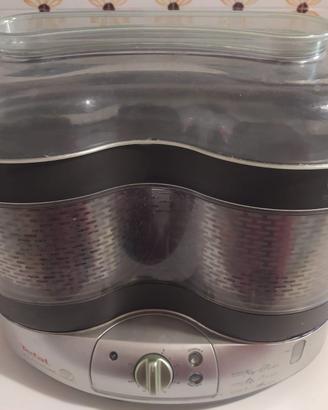 Vaporiera Tefal