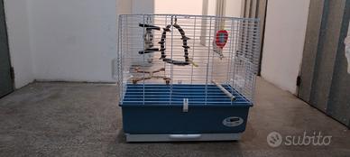 Gabbia Uccelli 