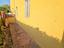 Immagine 8