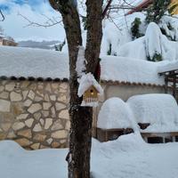 Neve e Camino in montagna Natale
