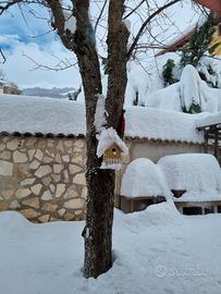 Neve e Camino in montagna Natale