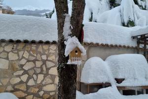 Neve e Camino in montagna Natale