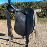 sella dressage winner wien 