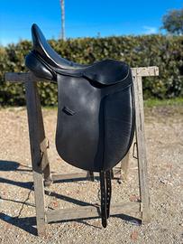 sella dressage winner wien 