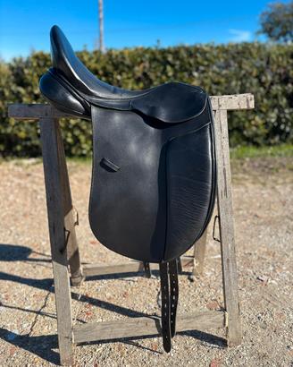 sella dressage winner wien 