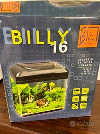 Acquario Billy 16