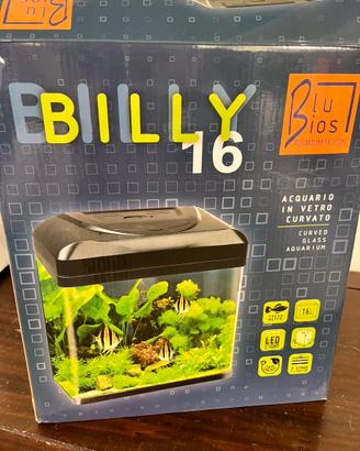 Acquario Billy 16