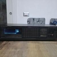 Equalizzatore Technics 