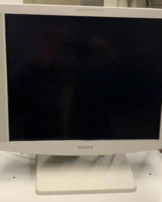 Monitor Sony LMD 1951MD LCD HD 19"