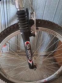 Mountain Bike Argentata (26)