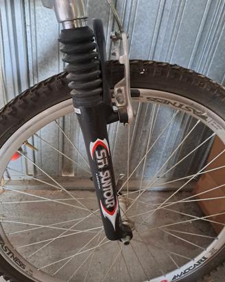 Mountain Bike Argentata (26)