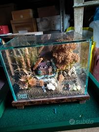 Diorama casetta con laghetto 