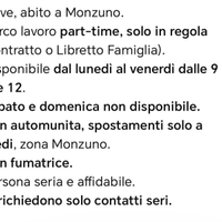Pulizie part-time 9- 12 Monzuno
