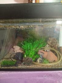 acquario completo 